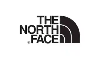 the north face logo